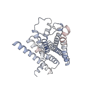 20079_6oik_R_v1-3
Muscarinic acetylcholine receptor 2-Go complex