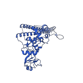 20080_6ois_C_v1-3
CryoEM structure of Arabidopsis DR complex (DMS3-RDM1)