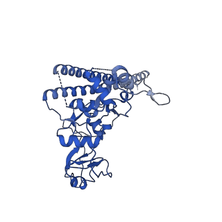 20080_6ois_C_v1-4
CryoEM structure of Arabidopsis DR complex (DMS3-RDM1)