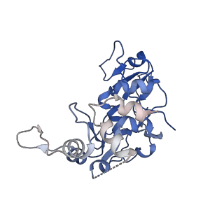 20080_6ois_D_v1-3
CryoEM structure of Arabidopsis DR complex (DMS3-RDM1)