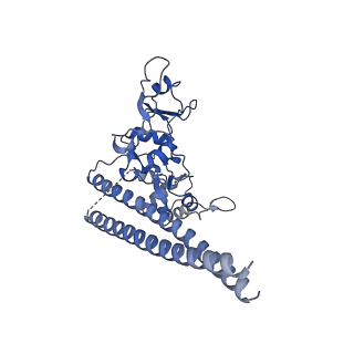 20080_6ois_E_v1-3
CryoEM structure of Arabidopsis DR complex (DMS3-RDM1)