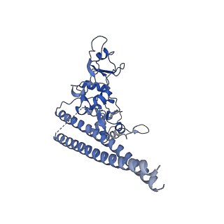 20080_6ois_E_v1-4
CryoEM structure of Arabidopsis DR complex (DMS3-RDM1)