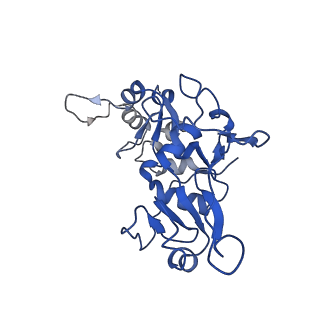 20080_6ois_F_v1-3
CryoEM structure of Arabidopsis DR complex (DMS3-RDM1)