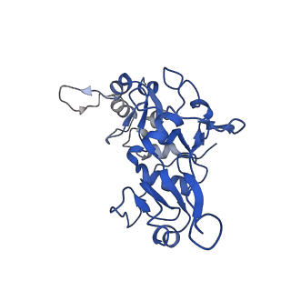 20080_6ois_F_v1-4
CryoEM structure of Arabidopsis DR complex (DMS3-RDM1)