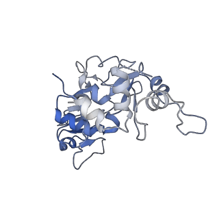 20081_6oit_D_v1-4
CryoEM structure of Arabidopsis DDR' complex (DRD1 peptide-DMS3-RDM1)