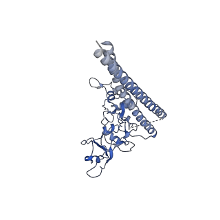20081_6oit_E_v1-3
CryoEM structure of Arabidopsis DDR' complex (DRD1 peptide-DMS3-RDM1)