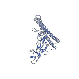 20081_6oit_E_v1-4
CryoEM structure of Arabidopsis DDR' complex (DRD1 peptide-DMS3-RDM1)