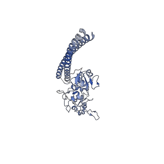 20081_6oit_F_v1-3
CryoEM structure of Arabidopsis DDR' complex (DRD1 peptide-DMS3-RDM1)
