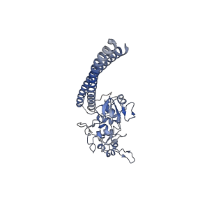 20081_6oit_F_v1-4
CryoEM structure of Arabidopsis DDR' complex (DRD1 peptide-DMS3-RDM1)