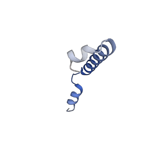 20081_6oit_G_v1-3
CryoEM structure of Arabidopsis DDR' complex (DRD1 peptide-DMS3-RDM1)