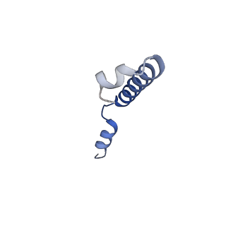 20081_6oit_G_v1-4
CryoEM structure of Arabidopsis DDR' complex (DRD1 peptide-DMS3-RDM1)