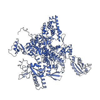 3817_5oik_A_v1-4
Structure of an RNA polymerase II-DSIF transcription elongation complex
