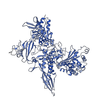 3817_5oik_B_v1-4
Structure of an RNA polymerase II-DSIF transcription elongation complex