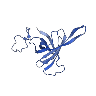 3817_5oik_H_v1-4
Structure of an RNA polymerase II-DSIF transcription elongation complex
