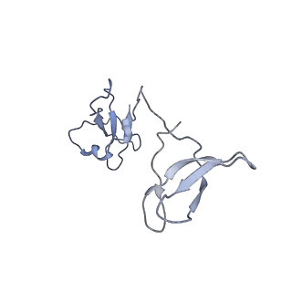 3817_5oik_I_v1-4
Structure of an RNA polymerase II-DSIF transcription elongation complex