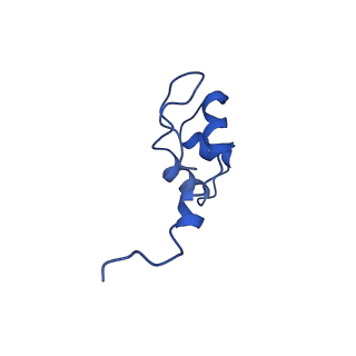 3817_5oik_J_v1-4
Structure of an RNA polymerase II-DSIF transcription elongation complex