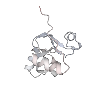 3817_5oik_Y_v1-4
Structure of an RNA polymerase II-DSIF transcription elongation complex