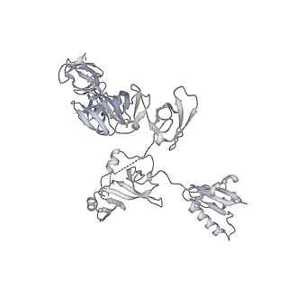 3817_5oik_Z_v1-4
Structure of an RNA polymerase II-DSIF transcription elongation complex