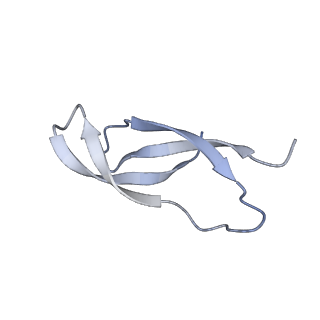 12937_7oj0_0_v1-1
Cryo-EM structure of 70S ribosome stalled with TnaC peptide and RF2