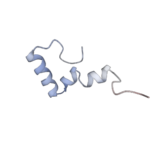 12937_7oj0_1_v1-1
Cryo-EM structure of 70S ribosome stalled with TnaC peptide and RF2
