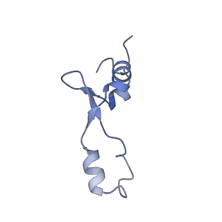12937_7oj0_2_v1-1
Cryo-EM structure of 70S ribosome stalled with TnaC peptide and RF2