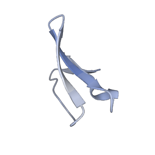 12937_7oj0_3_v1-1
Cryo-EM structure of 70S ribosome stalled with TnaC peptide and RF2