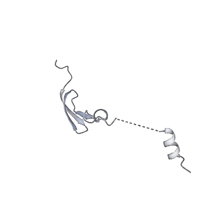 12937_7oj0_4_v1-1
Cryo-EM structure of 70S ribosome stalled with TnaC peptide and RF2