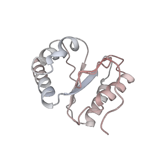 12937_7oj0_5_v1-1
Cryo-EM structure of 70S ribosome stalled with TnaC peptide and RF2