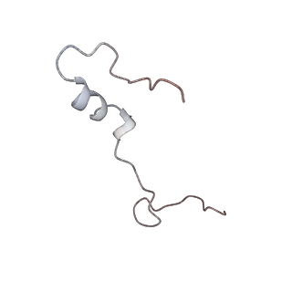 12937_7oj0_6_v1-1
Cryo-EM structure of 70S ribosome stalled with TnaC peptide and RF2