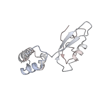 12937_7oj0_9_v1-1
Cryo-EM structure of 70S ribosome stalled with TnaC peptide and RF2