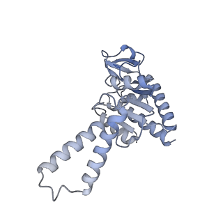 12937_7oj0_B_v1-1
Cryo-EM structure of 70S ribosome stalled with TnaC peptide and RF2