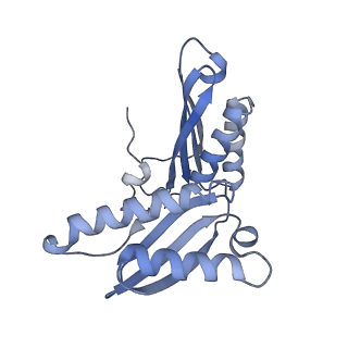 12937_7oj0_C_v1-1
Cryo-EM structure of 70S ribosome stalled with TnaC peptide and RF2