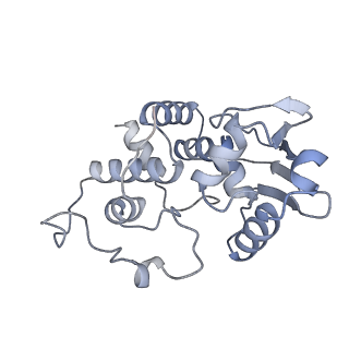 12937_7oj0_D_v1-1
Cryo-EM structure of 70S ribosome stalled with TnaC peptide and RF2