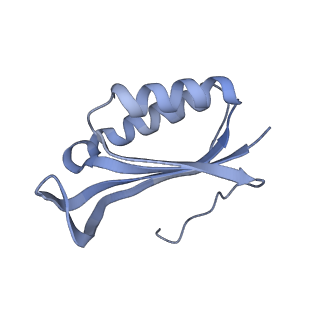 12937_7oj0_F_v1-1
Cryo-EM structure of 70S ribosome stalled with TnaC peptide and RF2
