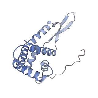 12937_7oj0_G_v1-1
Cryo-EM structure of 70S ribosome stalled with TnaC peptide and RF2