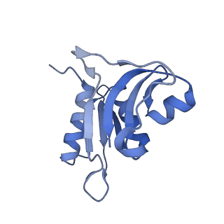 12937_7oj0_H_v1-1
Cryo-EM structure of 70S ribosome stalled with TnaC peptide and RF2
