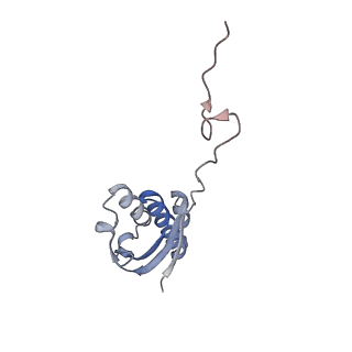 12937_7oj0_I_v1-1
Cryo-EM structure of 70S ribosome stalled with TnaC peptide and RF2