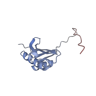 12937_7oj0_K_v1-1
Cryo-EM structure of 70S ribosome stalled with TnaC peptide and RF2