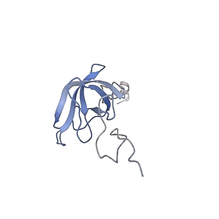 12937_7oj0_L_v1-1
Cryo-EM structure of 70S ribosome stalled with TnaC peptide and RF2