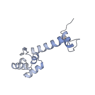 12937_7oj0_M_v1-1
Cryo-EM structure of 70S ribosome stalled with TnaC peptide and RF2