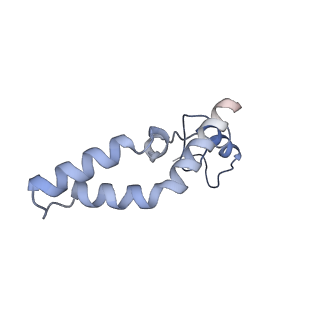 12937_7oj0_N_v1-1
Cryo-EM structure of 70S ribosome stalled with TnaC peptide and RF2