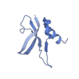 12937_7oj0_P_v1-1
Cryo-EM structure of 70S ribosome stalled with TnaC peptide and RF2