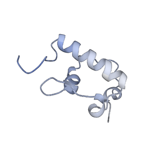 12937_7oj0_R_v1-1
Cryo-EM structure of 70S ribosome stalled with TnaC peptide and RF2