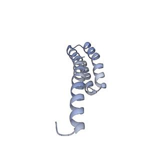 12937_7oj0_T_v1-1
Cryo-EM structure of 70S ribosome stalled with TnaC peptide and RF2