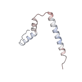 12937_7oj0_U_v1-1
Cryo-EM structure of 70S ribosome stalled with TnaC peptide and RF2
