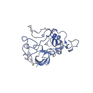 12937_7oj0_c_v1-1
Cryo-EM structure of 70S ribosome stalled with TnaC peptide and RF2