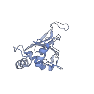 12937_7oj0_f_v1-1
Cryo-EM structure of 70S ribosome stalled with TnaC peptide and RF2