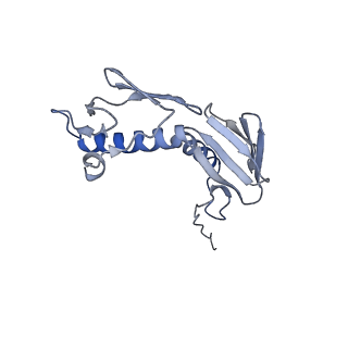 12937_7oj0_g_v1-1
Cryo-EM structure of 70S ribosome stalled with TnaC peptide and RF2