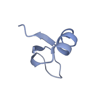 12937_7oj0_h_v1-1
Cryo-EM structure of 70S ribosome stalled with TnaC peptide and RF2