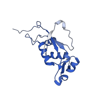 12937_7oj0_i_v1-1
Cryo-EM structure of 70S ribosome stalled with TnaC peptide and RF2